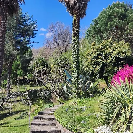 Casa Tornina كريميا